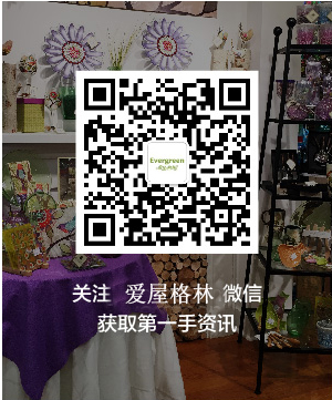 爱屋格林 微信